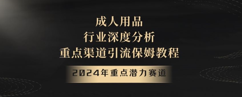 2024年重点潜力赛道，成人用品行业深度分析，重点渠道引流保姆教程【揭秘】-优优云网创