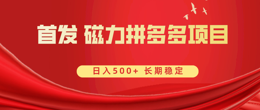 （8611期）首发 磁力拼多多自撸  日入500+-有道网创