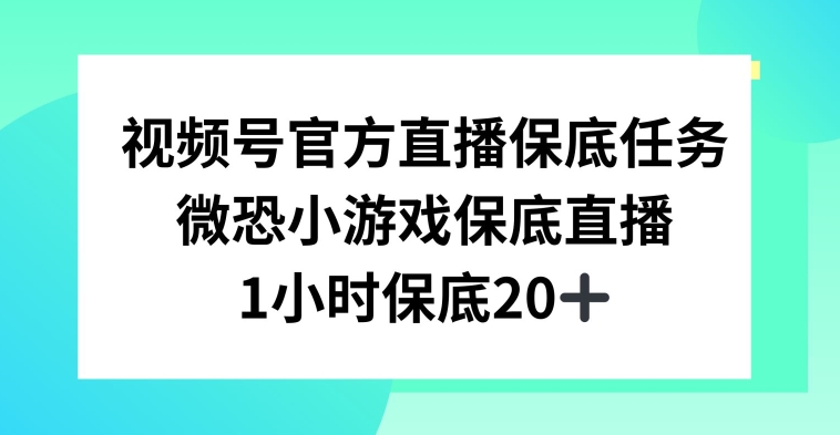 视频号直播任务，微恐小游戏，1小时20+-枫客网创