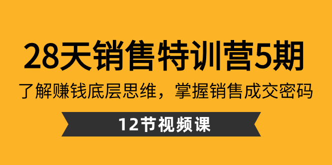 （8659期）28天·销售特训营5期：了解赚钱底层思维，掌握销售成交密码（12节课）-大海创业网