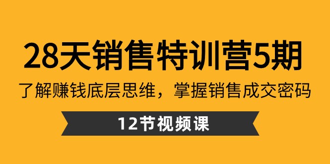 28天销售特训营5期：了解赚钱底层思维，掌握销售成交密码（12节课）-枫客网创