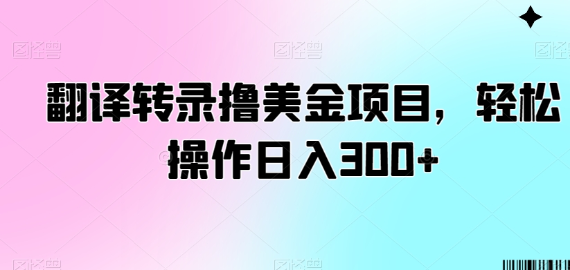 翻译转录撸美金项目，轻松操作日入300+-大海创业网