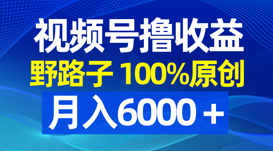 （8679期）视频号野路子撸收益，100%原创，条条爆款，月入6000＋-大海创业网