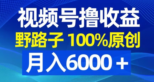 视频号野路子撸收益，100%原创，条条爆款，月入6000＋-花生资源网