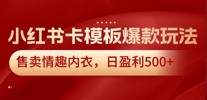 小红书卡模板爆款玩法，售卖情趣内衣，日盈利500+-大海创业网