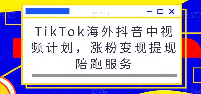 TikTok海外抖音中视频计划，涨粉变现提现陪跑服务-花生资源网