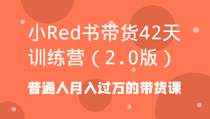 小Red书带货42天训练营（2.0版）普通人月入过万的带货课-大海创业网