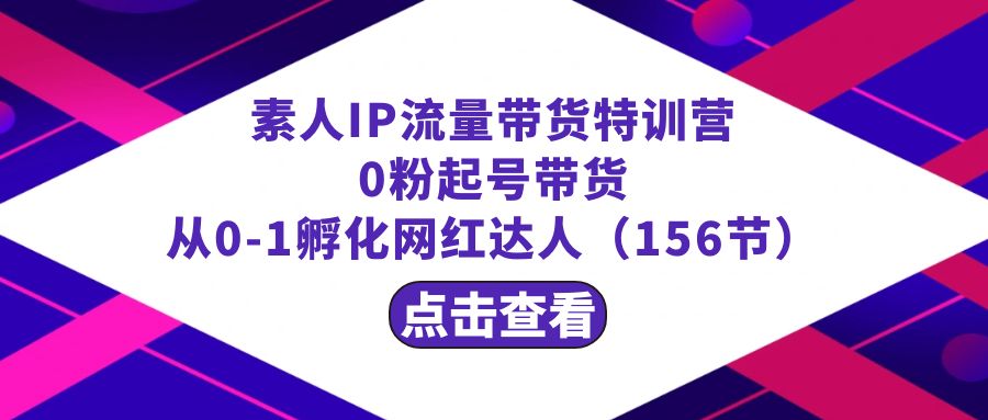 （8776期）繁星·计划素人IP流量带货特训营：0粉起号带货 从0-1孵化网红达人（156节）-花生资源网