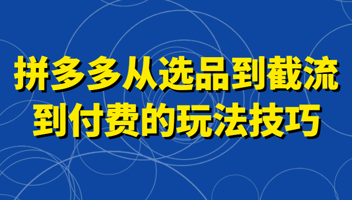 拼多多从选品到截流到付费的玩法技巧，助你掌握截流自然流量，高投产，强付费快速启动-大海创业网