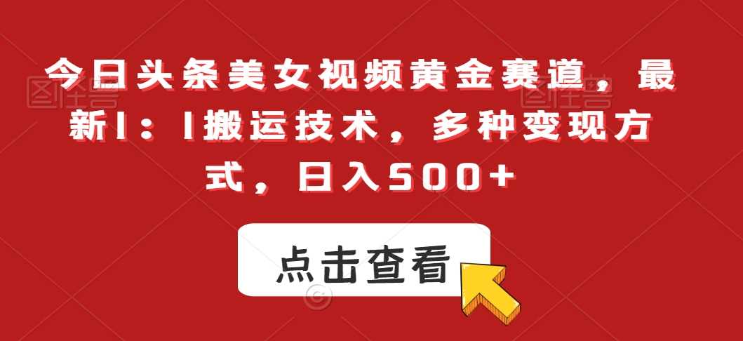 今日头条美女视频黄金赛道，最新1：1搬运技术，多种变现方式，日入500+【揭秘】-大海创业网