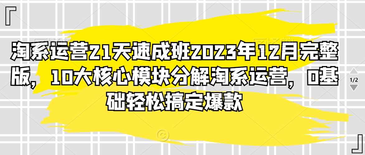 淘系运营21天速成班2023年12月完整版，10大核心模块分解淘系运营，0基础轻松搞定爆款-枫客网创