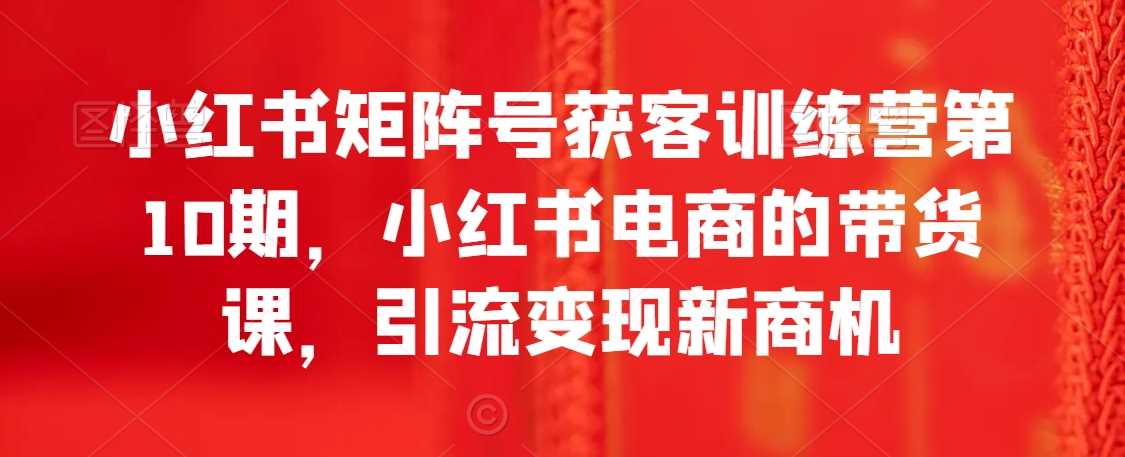 小红书矩阵号获客训练营第10期，小红书电商的带货课，引流变现新商机-大海创业网