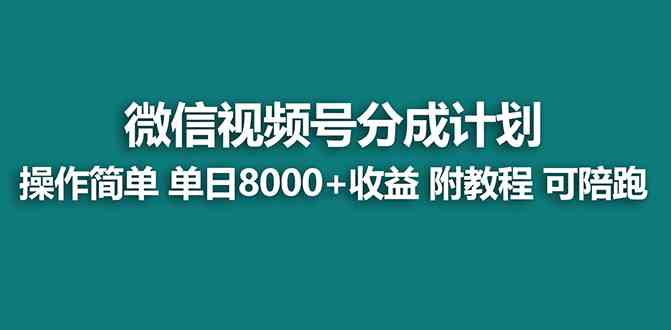 （8929期）【蓝海项目】视频号分成计划最新玩法，单天收益8000+，附玩法教程，24年…-点石成金