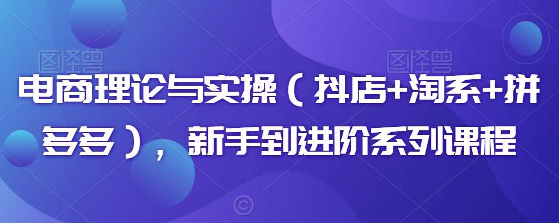 电商理论与实操（抖店+淘系+拼多多），新手到进阶系列课程-花生资源网