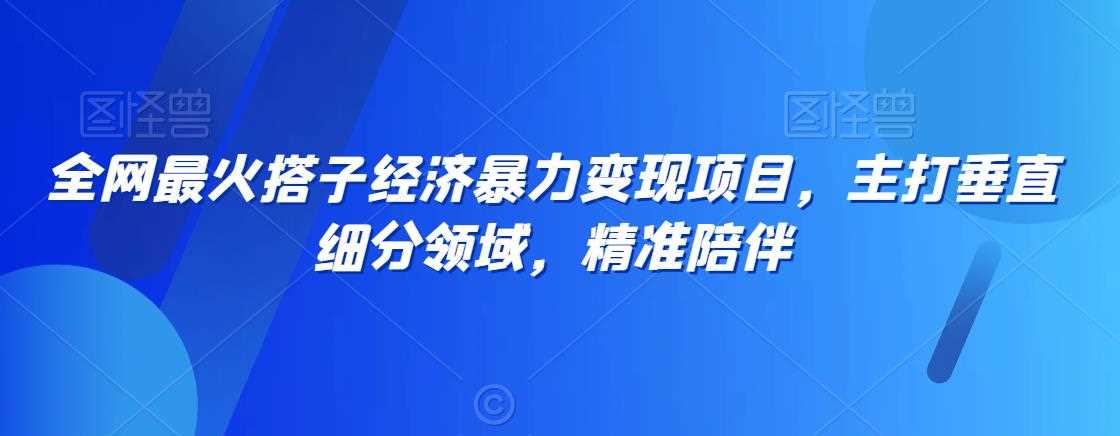 全网最火搭子经济暴力变现项目，主打垂直细分领域，精准陪伴【揭秘】-创享网