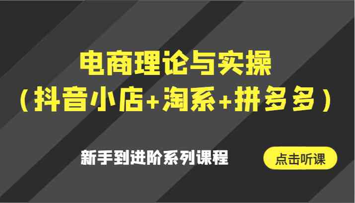 电商理论与实操（抖音小店+淘系+拼多多）新手到进阶系列课程-枫客网创