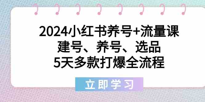 （8974期）2024小红书养号+流量课：建号、养号、选品，5天多款打爆全流程-创享网