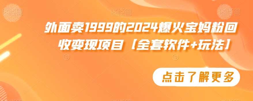 外面卖1999的2024爆火宝妈粉回收变现项目【全套软件+玩法】【揭秘】清迈曼芭椰创赚-副业项目创业网清迈曼芭椰