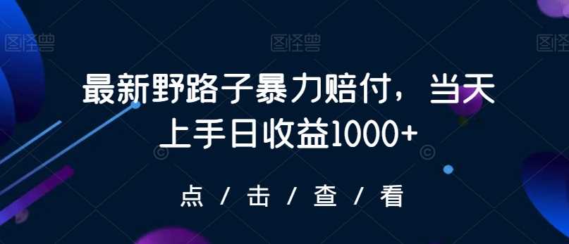 最新野路子暴力赔付，当天上手日收益1000+【仅揭秘】-大海创业网