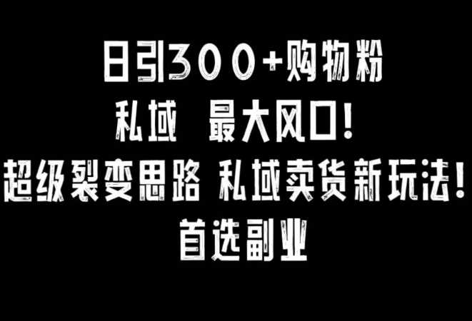 日引300+购物粉，超级裂变思路，私域卖货新玩法，小红书首选副业【揭秘】-创云分享创云网创