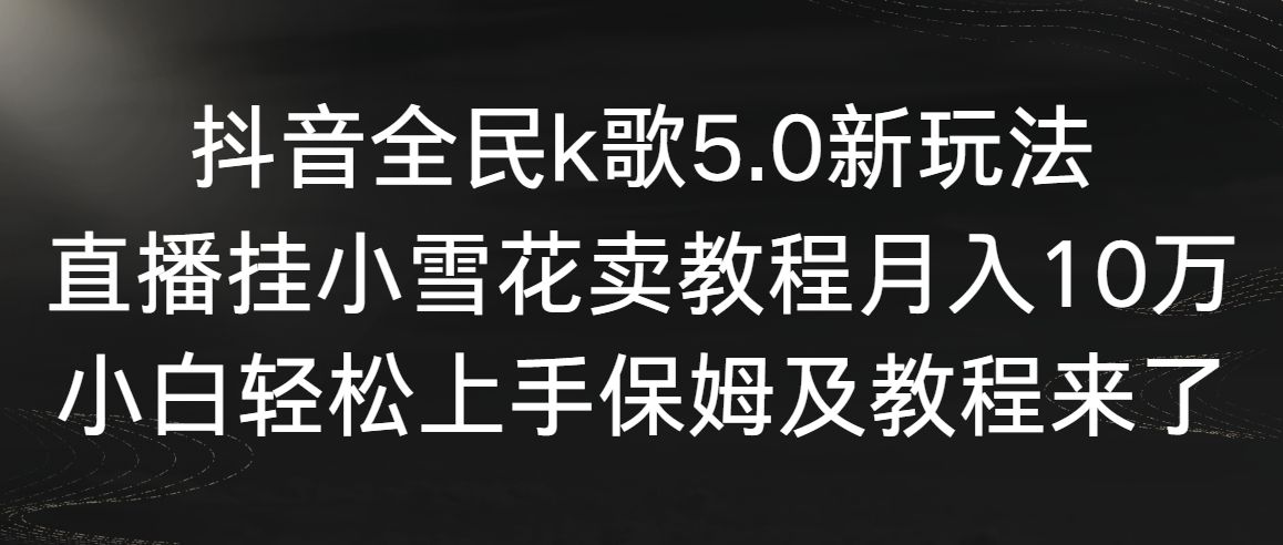 （9021期）抖音全民k歌5.0新玩法，直播挂小雪花卖教程月入10万，小白轻松上手，保…-大海创业网