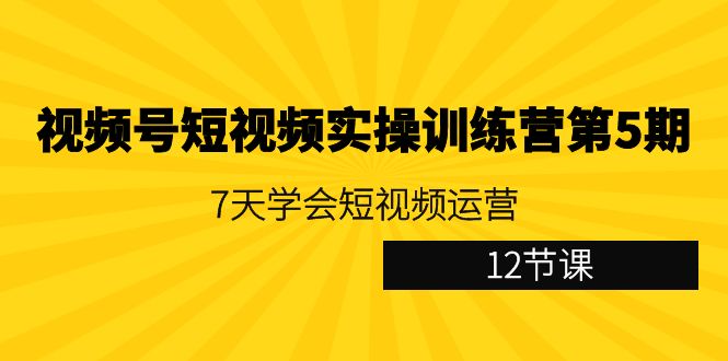 视频号短视频实操训练营第5期：7天学会短视频运营（12节课）-世纪学社