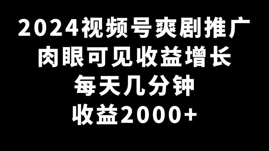 （9028期）2024视频号爽剧推广，肉眼可见的收益增长，每天几分钟收益2000+-大海创业网