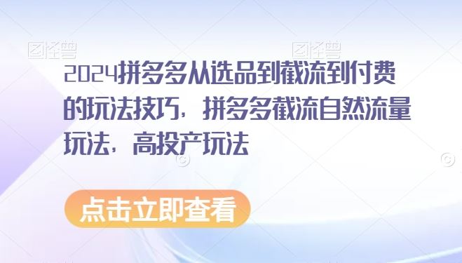 2024拼多多从选品到截流到付费的玩法技巧，拼多多截流自然流量玩法，高投产玩法-随风网创