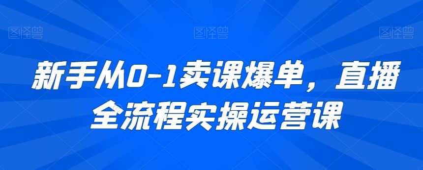 新手从0-1卖课爆单，直播全流程实操运营课 - 当动网创