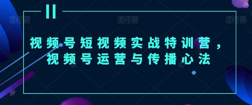 视频号短视频实战特训营，视频号运营与传播心法-花生资源网