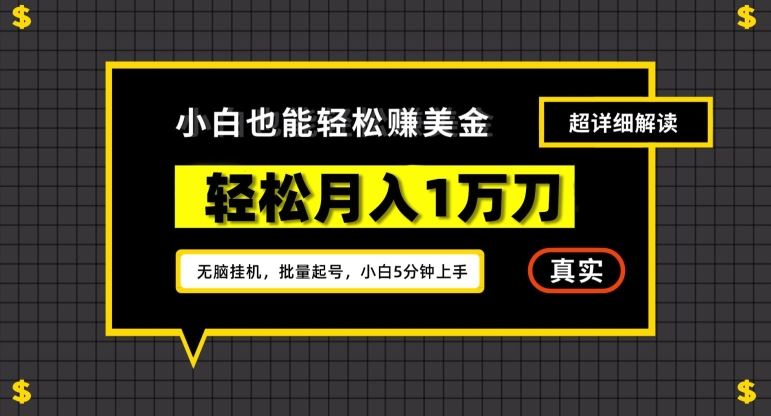 谷歌看广告撸美金2.0，无脑挂机，多号操作，月入1万刀【揭秘】-随风网创