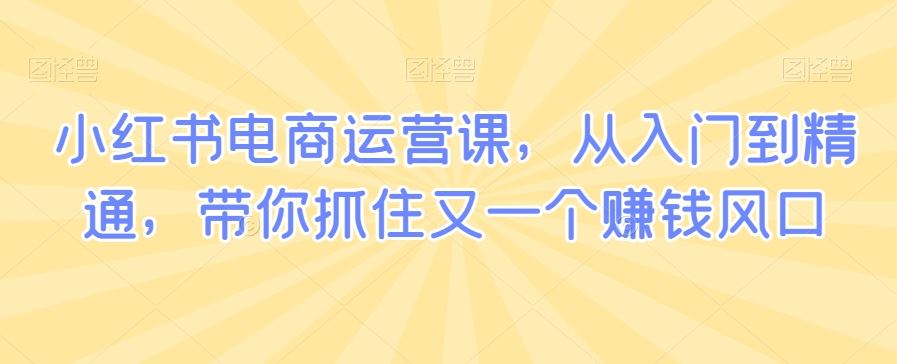 小红书电商运营课，从入门到精通，带你抓住又一个赚钱风口-创享网