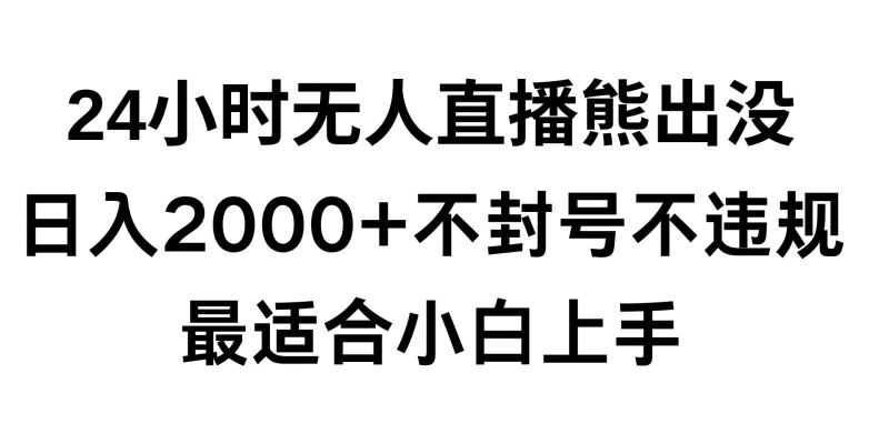 快手24小时无人直播熊出没，不封直播间，不违规，日入2000+，最适合小白上手，保姆式教学【揭秘】-有道网创