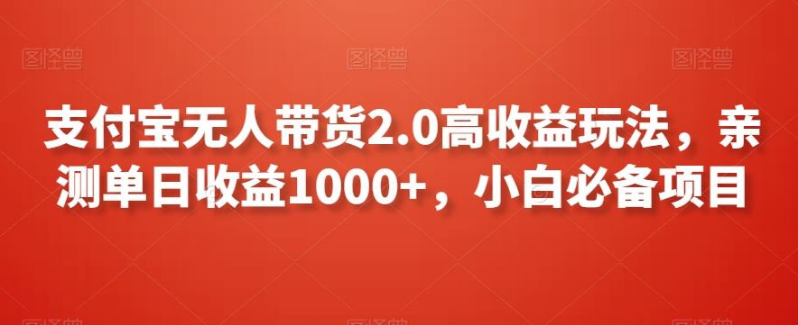 支付宝无人带货2.0高收益玩法，亲测单日收益1000+，小白必备项目【揭秘】-诺贝网创