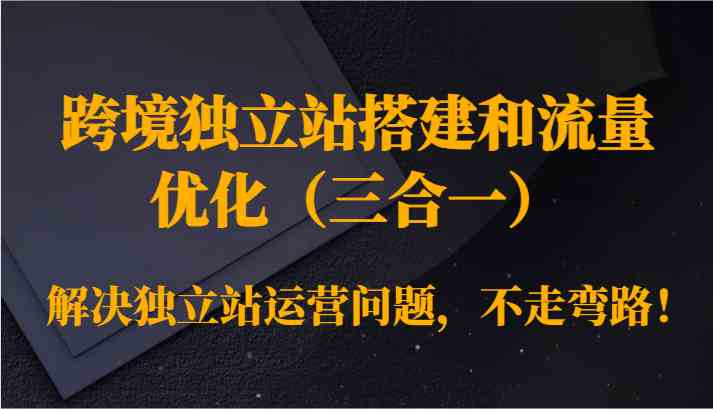 跨境独立站搭建和流量优化（三合一）解决独立站运营问题，不走弯路！-休闲网赚three