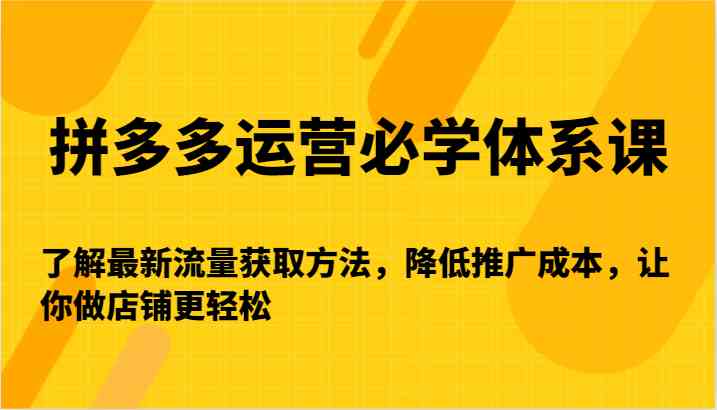 拼多多运营必学体系课-了解最新流量获取方法，降低推广成本，让你做店铺更轻松-有道网创