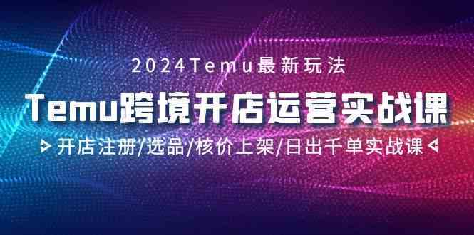 2024Temu跨境开店运营实战课，开店注册/选品/核价上架/日出千单实战课-休闲网赚three