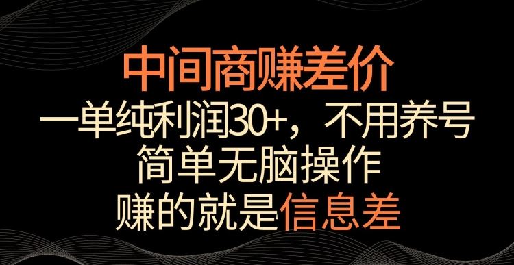 中间商赚差价，一单纯利润30+，简单无脑操作，赚的就是信息差，轻轻松松日入1000+【揭秘】-云网创