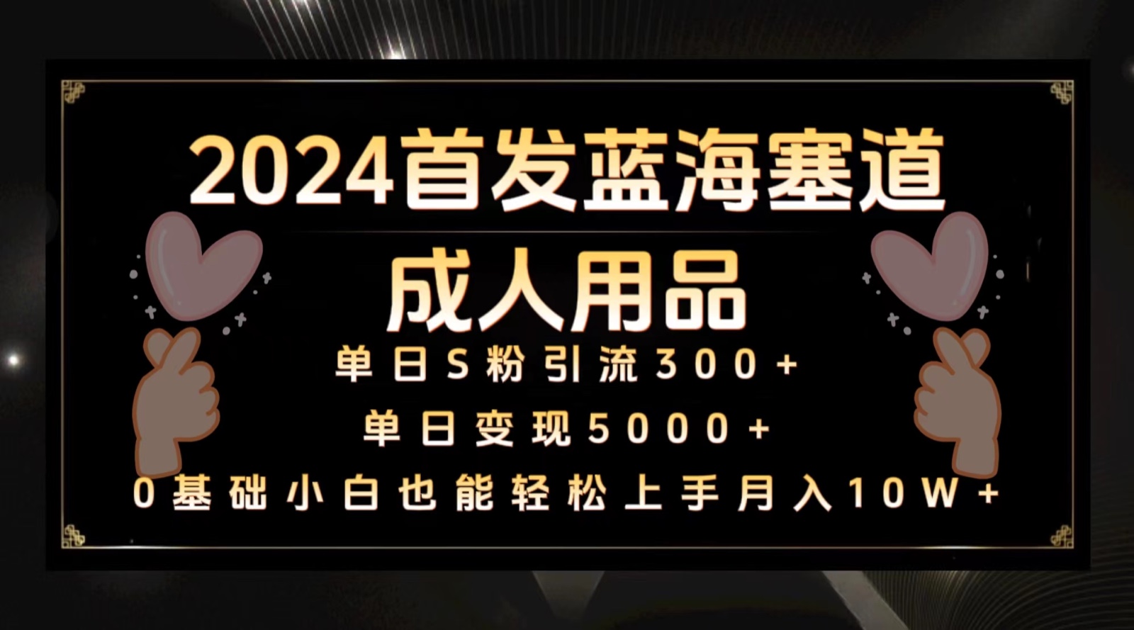 2024首发蓝海塞道成人用品，月入10W+保姆教程-点石成金