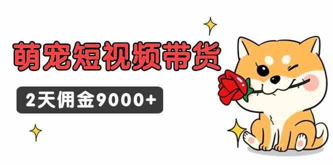 （9273期）东哲日记·萌宠短视频带货，2天佣金9000+-八度网创