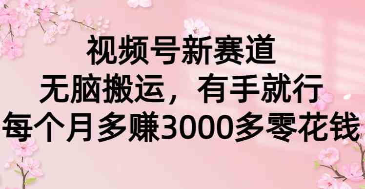 （9277期）视频号新赛道，无脑搬运，有手就行，每个月多赚3000多零花钱-花生资源网