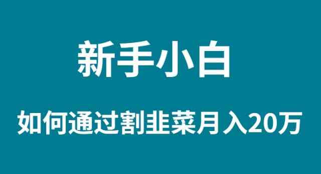 （9308期）新手小白如何通过割韭菜月入 20W-点石成金