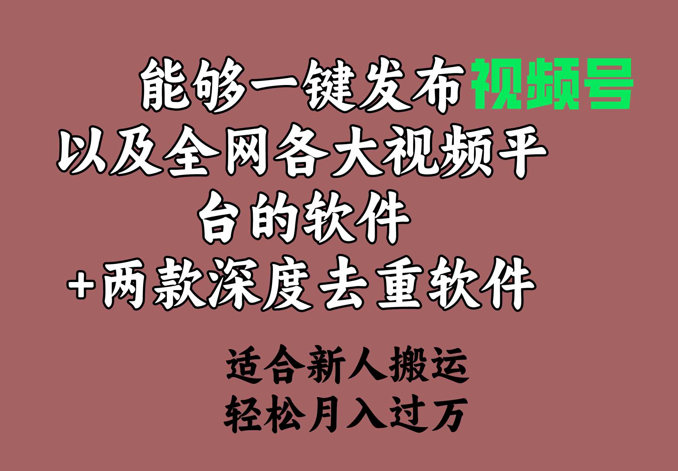 （9319期）能够一键发布视频号以及全网各大视频平台的软件+两款深度去重软件 适合…-创享网