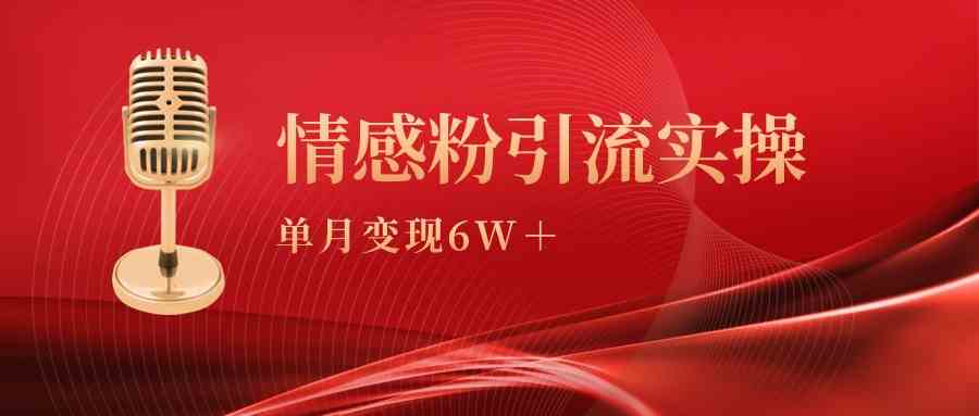 （9473期）单月变现6w+，情感粉引流变现实操课-大海创业网