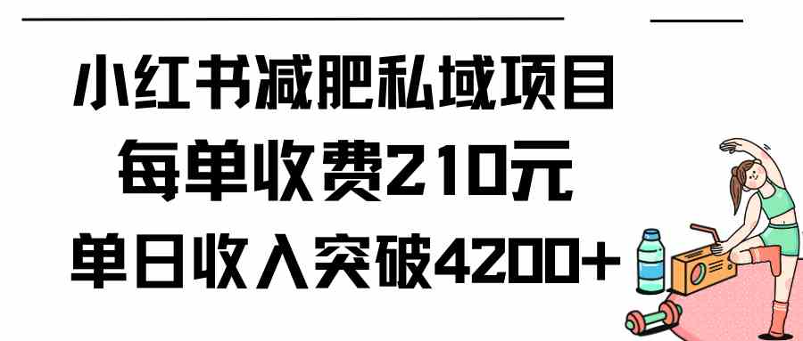 （9466期）小红书减肥私域项目每单收费210元单日成交20单，最高日入4200+-大海创业网