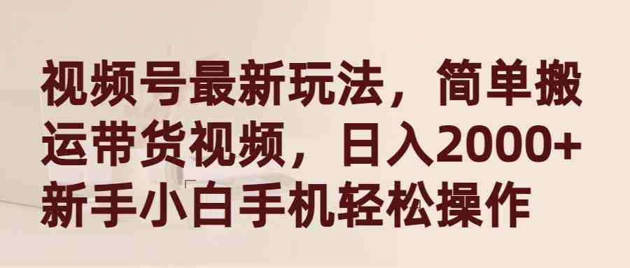 （9486期）视频号最新玩法，简单搬运带货视频，日入2000+，新手小白手机轻松操作-大海创业网