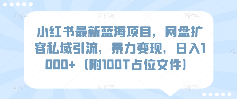 小红书最新蓝海项目，网盘扩容私域引流，暴力变现，日入1000+（附100T占位文件）-HAC社区