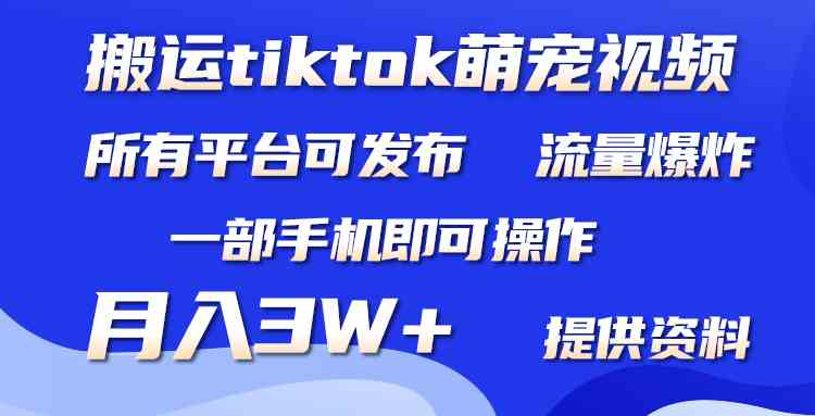 图片[1]-（9618期）搬运Tiktok萌宠类视频，一部手机即可。所有短视频平台均可操作，月入3W+-飓风网创资源站