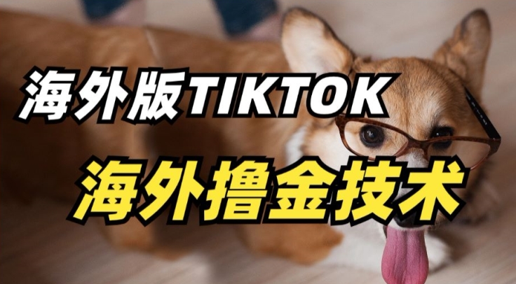 抖音海外版tiktok撸金技术，这个风口行业，赚钱真的不难-HAC社区