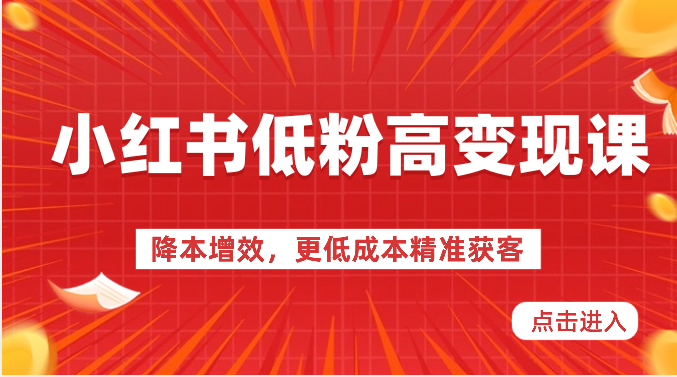 小红书低粉高变现课-降本增效，更低成本精准获客，小红书必爆的流量密码-诺贝网创